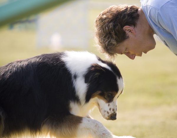 PawTrack Smart GPS Collar